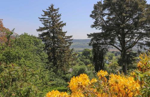 Ty'n y Cae - Foto 61