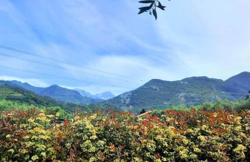 Versillia Olive Residence - Foto 35