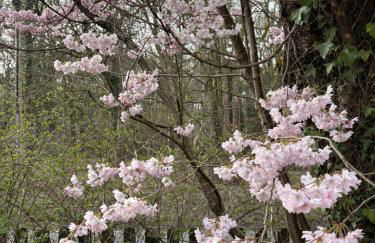 Willow Cottage - Foto 5