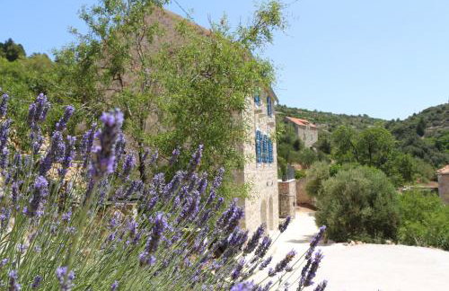 Villa Zanino - Foto 43