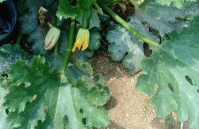 APARTMENTS ANA - Foto 69