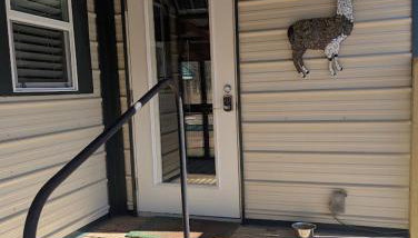 Gerrie's Place at Figment Llama Ranch Foundation Animal Sanctuary near Round Top Texas - Foto 5