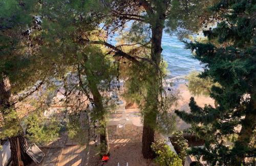 Seaside Apartment Padre - Photo 21