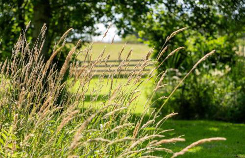 Marcassie Farm Lodges - Blackthorn Studio - Foto 14