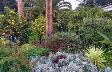 Feliz Apartments - Foto 69