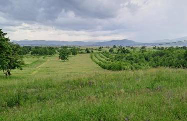 Bambi Forest House - Photo 16