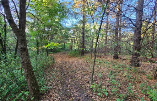 The Starlight Tower Manor, River, Arcades, Observatory, Theater - Foto 51