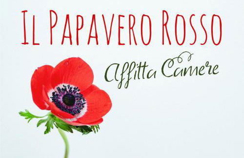 Il papavero rosso - Photo 1
