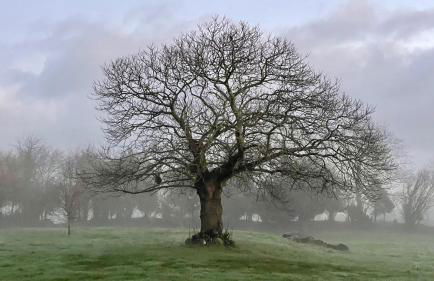 Lescoat-le petit paradis - Foto 11