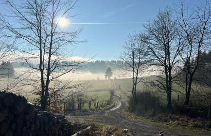 Schwedenhaus Waldkauz - Foto 41