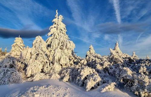 Chalet PRALIN - Foto 20