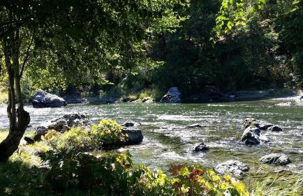Family-Size Cottage with Trinity River Views in California - Foto 5