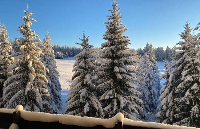 Ferienwohnung im Malerischen Kniebis - Foto 27