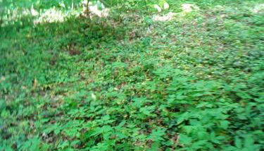 Appartementt à louer à Rennes - Photo 3