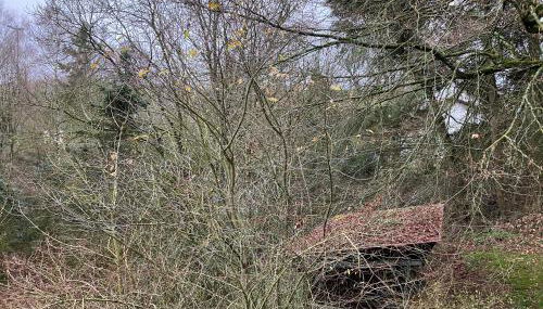 Ferienhaus-stadtkyll-eifel Beim Förster mit zwei Schlafzimmern - Foto 4