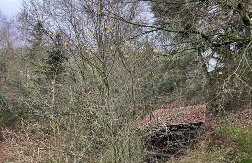 Ferienhaus-stadtkyll-eifel Beim Förster mit zwei Schlafzimmern - Foto 4