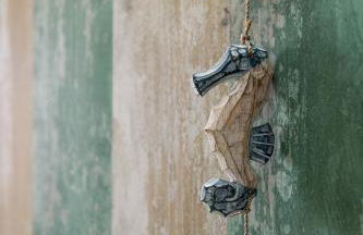 HC Torreira Beach - Foto 6