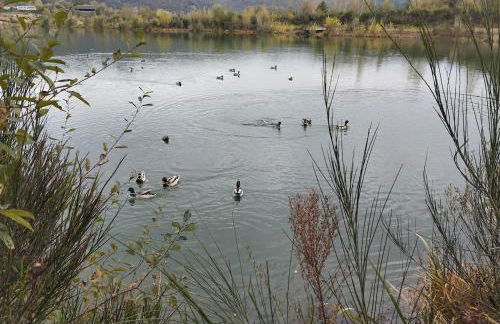 Appartement vue riviere - Foto 29