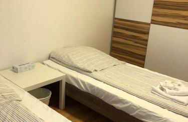 Sahara Falcon - Photo 120