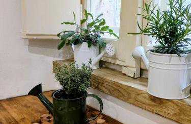 The Voltina - Foto 8