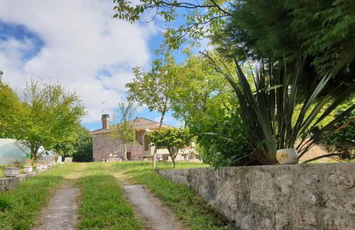 LA CAMELIA - Foto 11