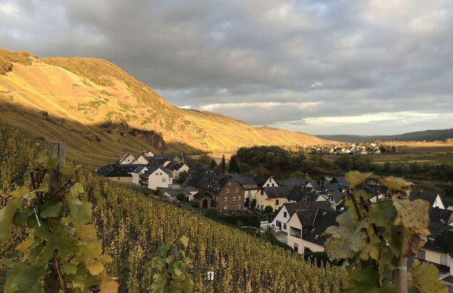 Vinum Comfortable Holiday Residence - Photo 15