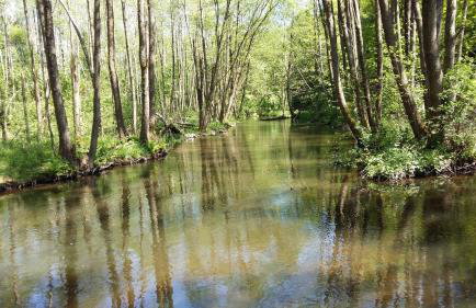 Agroturystyka Pod Klonem - Foto 72