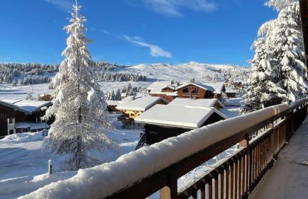 APPARTEMENT PLEIN SUD AUX SAISIES N°6 - Foto 4