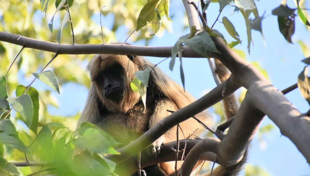 Tour in Formosa - Foto 5