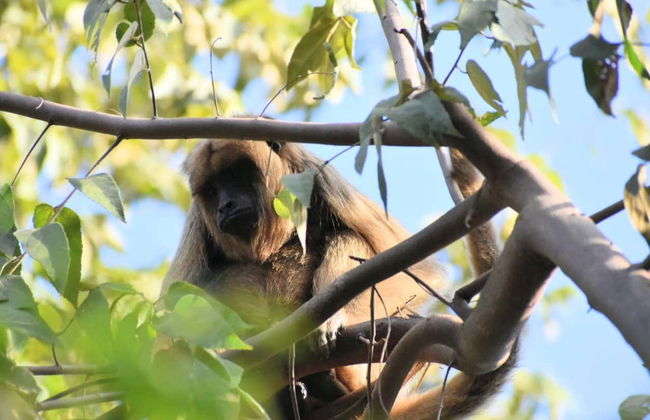 Tour in Formosa - Foto 5