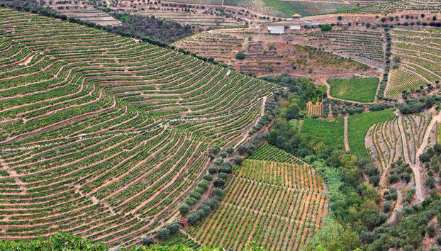 Valle del Douro
