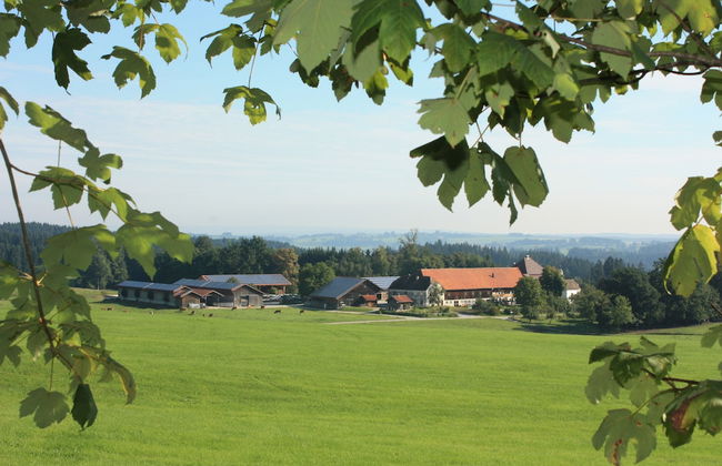 Gut Grasleiten - Foto 44