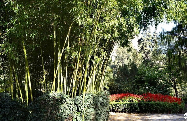 Botanical 21 Apartments - Foto 75