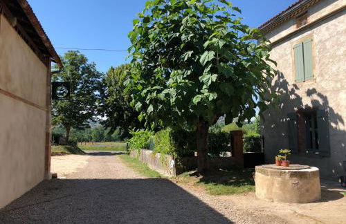 Gîte à la Ferme de Verdurette Cordes-sur-Ciel - Foto 37