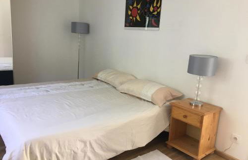 Ski 3 Vallées à 80m télécabine de l'Olympe - appt 50m2, 3étoiles - Foto 19