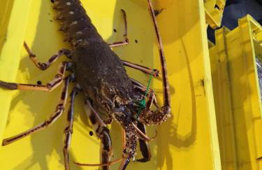 La Maison de la Mer - Foto 15