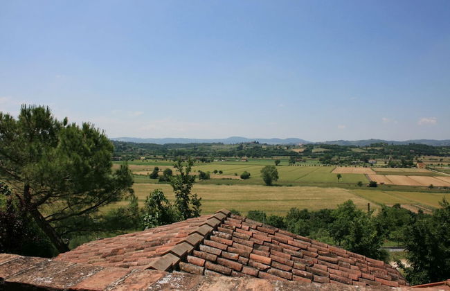 Villa Molin Vecchio - Foto 18