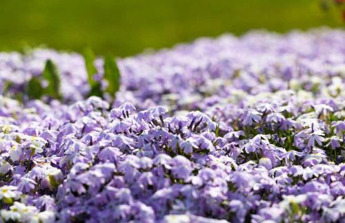 Coastal Village Hideaway Village Retreat Sleeps 4 - Foto 28