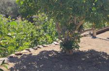 Anemi Stay - Foto 13