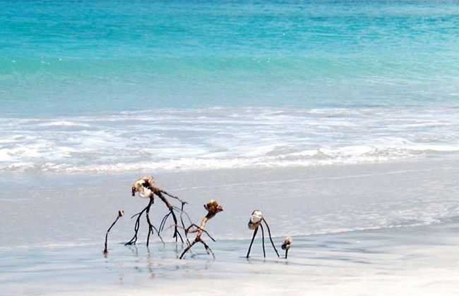 MyALL Tortola - Foto 26