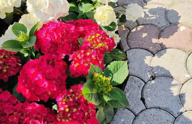 Villetta dei nonni - Foto 12