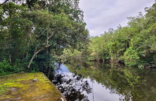 Casa Enorme para 12 pessoas, 4 suites e um fundo com 18mil metros de mata e um pier no rio que sai para o mar-Internet 100MB - Photo 25
