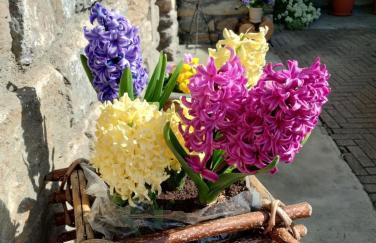 Casa per vacanze degli gnomi - Foto 25