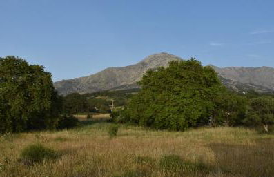 Salt and petals Downstairs - Foto 31