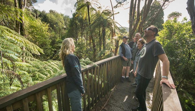 Vida salvaje en Auckland - Foto 5