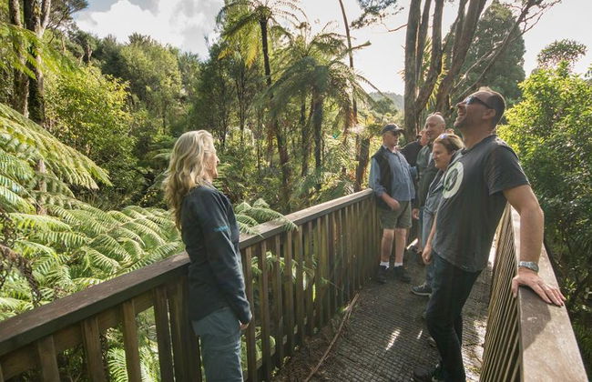 Vida salvaje en Auckland - Foto 5