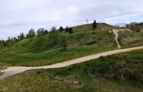 MIODOWA SADYBA Domki całoroczne Kluczbork - Foto 28