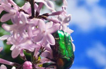 Apartament Baranek Nad Jeziorem - Foto 18