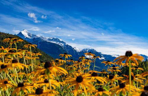 Bauernhof Vorderstiedler - Foto 34