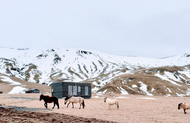 Seljalandsfoss Cottage - Foto 15